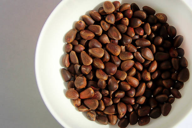 Fresh Tamarind Seeds
